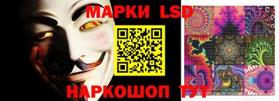 стафф Донецк